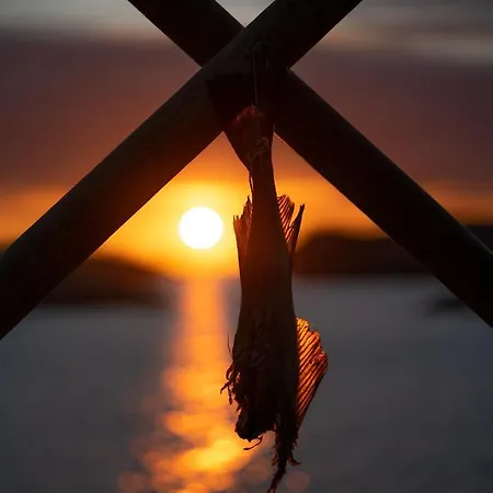 Lofoten Sunset & Ocean View * Valle (Lofoten)