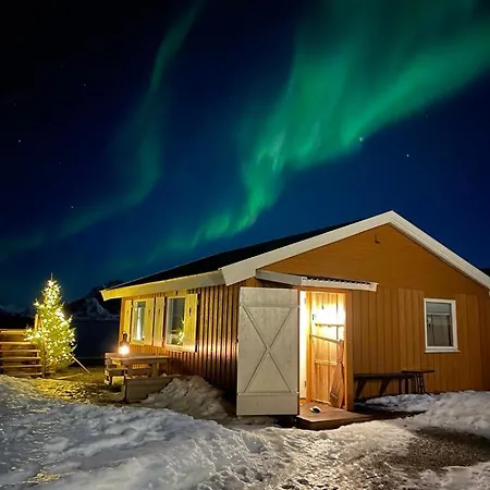 Lofoten Sunset & Ocean View *